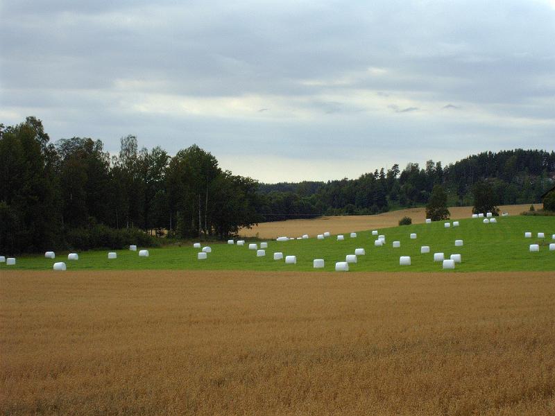 Bild 065